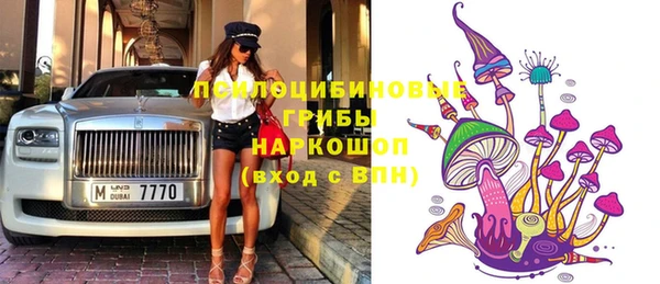 стафф Армянск