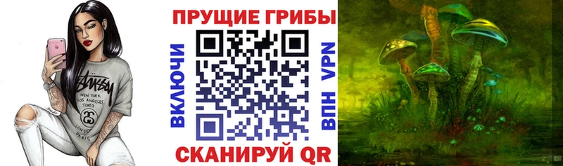 Псилоцибиновые грибы Magic Shrooms  Мелеуз 